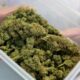 Legalizzazione della cannabis in Lussemburgo