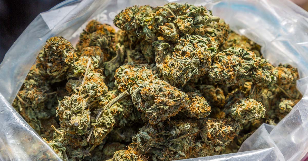 Mercati per i produttori di cannabis a New York