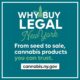 Pubblicità della cannabis legale a New York