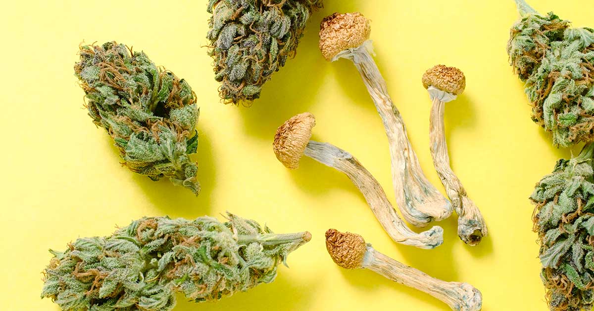 Farmaci con funghi e cannabis