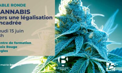 Legalizzazione della cannabis a Bègles