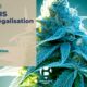 Legalizzazione della cannabis a Bègles