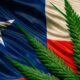 Cile e cannabis