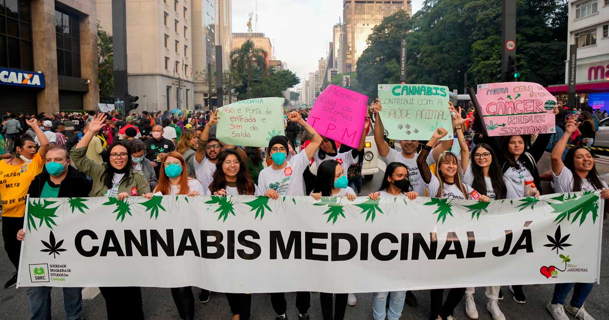 Coltivare cannabis terapeutica in Brasile