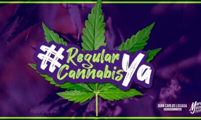 Campagna per la legalizzazione della cannabis in Colombia