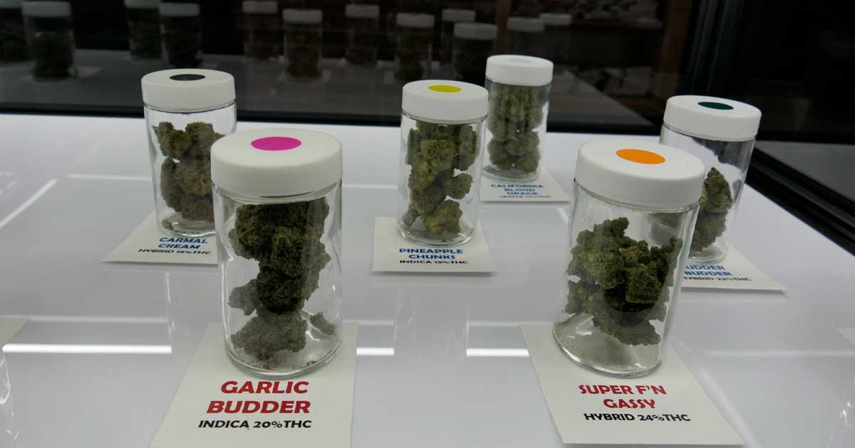 Cannabis legale in Minnesota