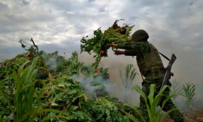 Guerra alla droga