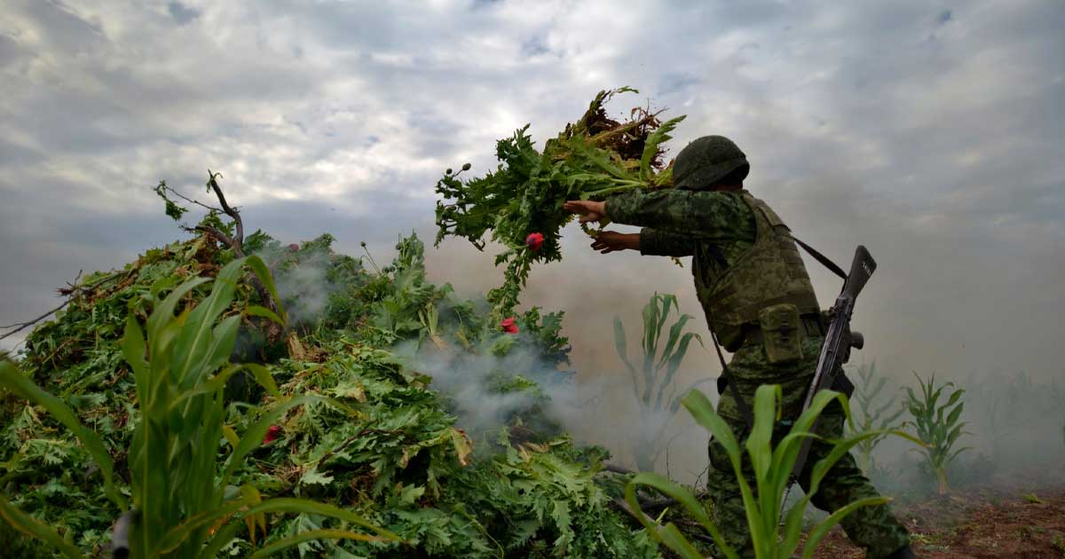 Guerra alla droga