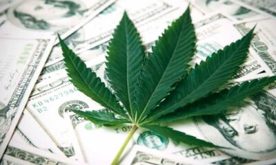 Legge bancaria sulla cannabis negli Stati Uniti