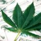 Legge bancaria sulla cannabis negli Stati Uniti