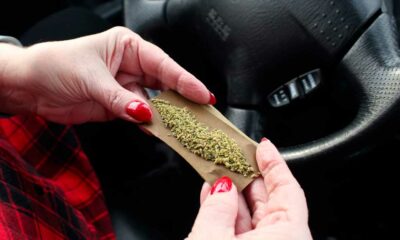 Cannabis e incidenti stradali