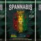 Spannabis Bilbao 2024