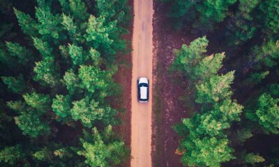 Test della saliva e cannabis al volante