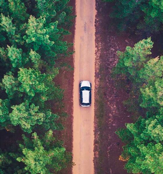 Test della saliva e cannabis al volante