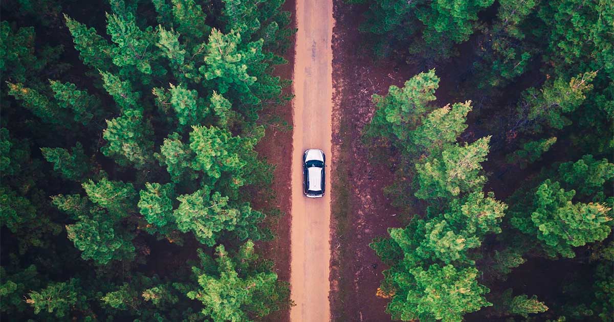 Test della saliva e cannabis al volante