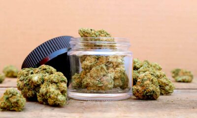 Regolamentazione sostenibile della cannabis