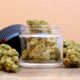 Regolamentazione sostenibile della cannabis