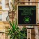 Cannabis Club a Malta