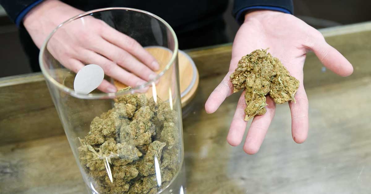 Iniziativa per legalizzare la cannabis in Finlandia