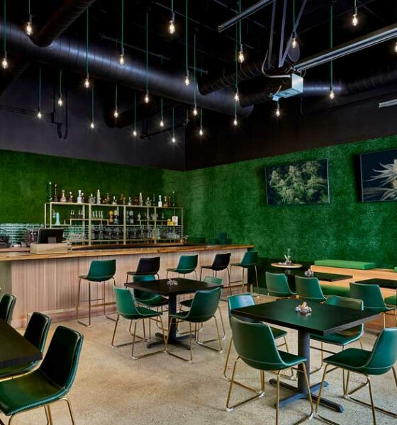 Cannabis lounge nel Maine