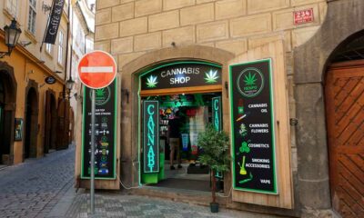 Strategia di politica della cannabis nella Repubblica Ceca