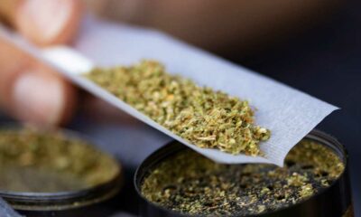 Possibile legalizzazione della cannabis in Svizzera