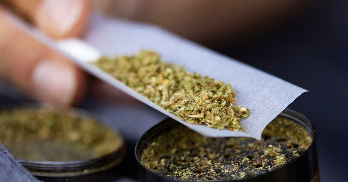 Possibile legalizzazione della cannabis in Svizzera
