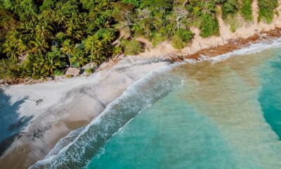 Autocoltivazione di cannabis in Costa Rica