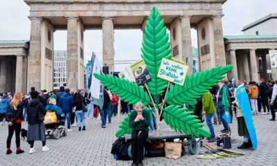 Voto per la legalizzazione della cannabis in Germania