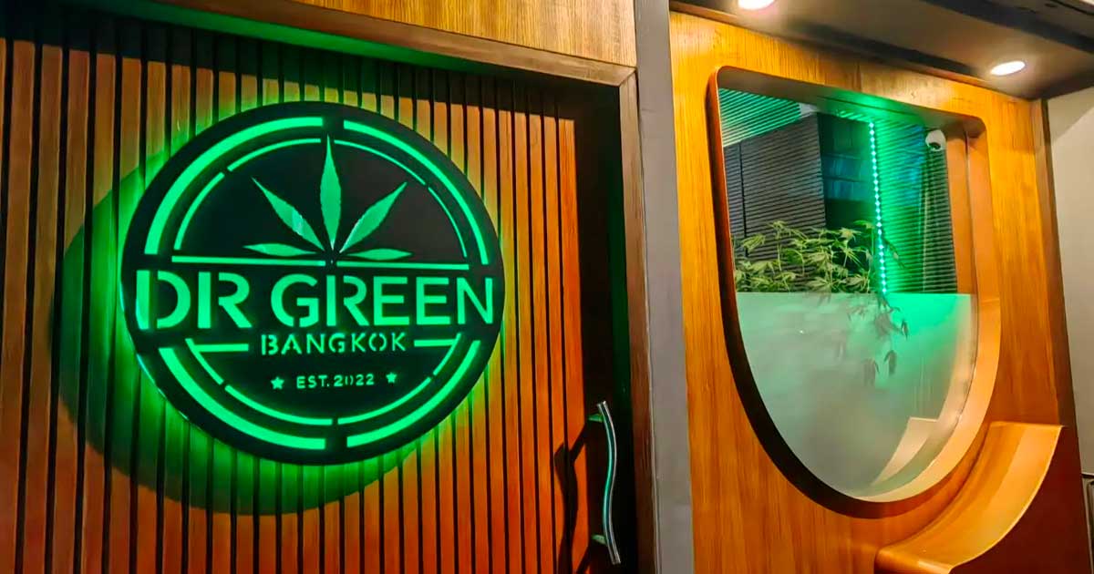 La Thailandia rinvia la regolamentazione della cannabis