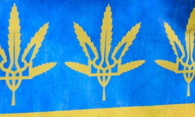 L'Ucraina legalizza la cannabis medica