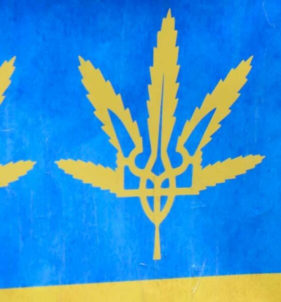 L'Ucraina legalizza la cannabis medica