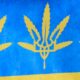 L'Ucraina legalizza la cannabis medica