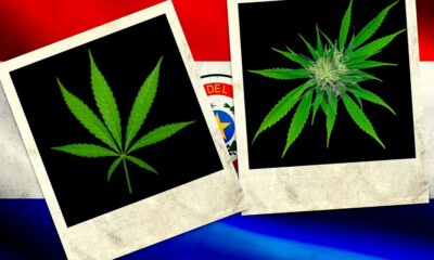Cannabis in Paraguay