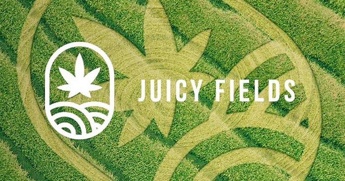 Truffa di Juicy Fields