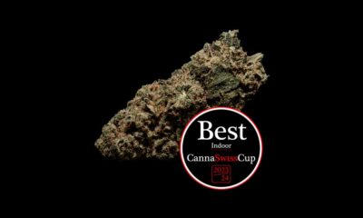 Risultati della CannaSwissCup 2024