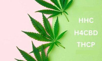 Narcotici H4CBD e THCP