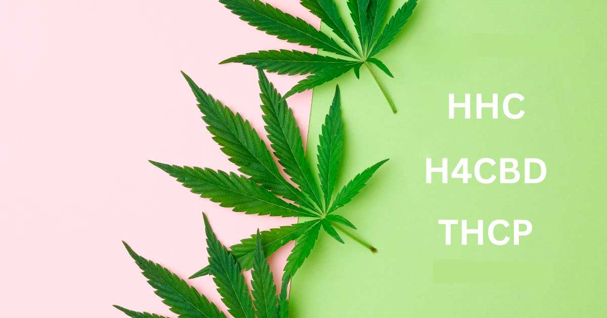 Narcotici H4CBD e THCP