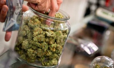 Nuove regole sulla cannabis in Germania