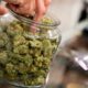 Nuove regole sulla cannabis in Germania