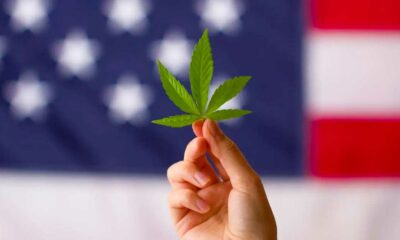Riclassificazione della cannabis negli USA