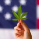 Riclassificazione della cannabis negli USA