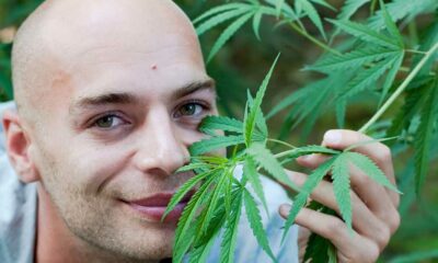 THC e cancro