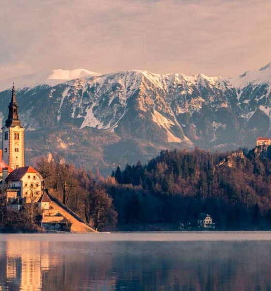 Referendum sulla cannabis in Slovenia