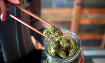 Apertura dei Cannabis Club in Germania