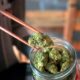 Apertura dei Cannabis Club in Germania