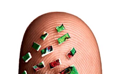 Microdosi di cannabis e psichedelici
