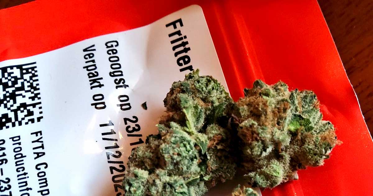Prodotti a base di cannabis legali nei Paesi Bassi