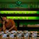Regolamentazione della cannabis legale in Thailandia