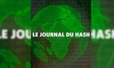 Diario di Hash Episodio 2